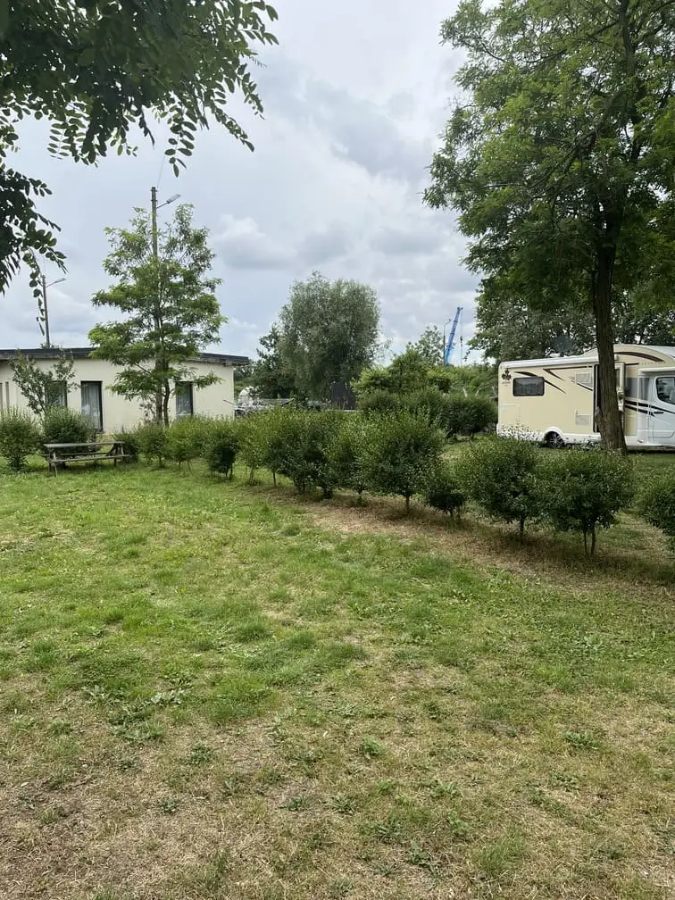 Przestrzeń kempingowa z roślinnością i kamperami