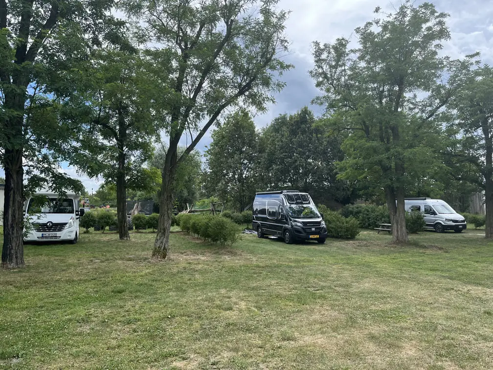 Kampery zaparkowane na otwartej polanie wśród drzew