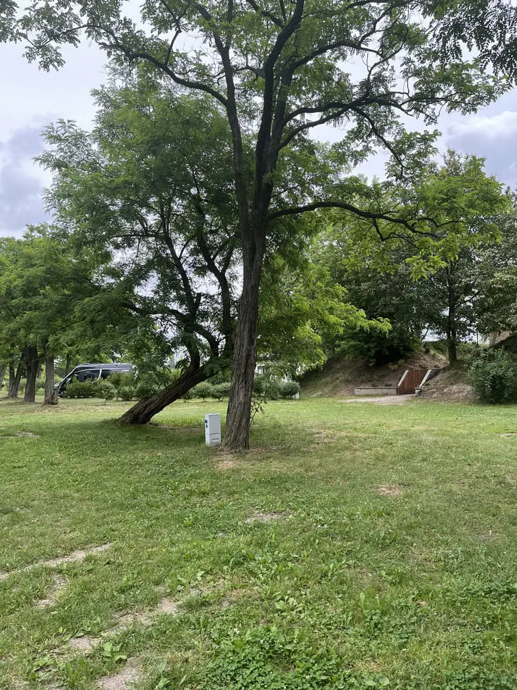 Przestronne stanowisko na kempingu Gadabout Camp, idealne dla kamperów i namiotów.