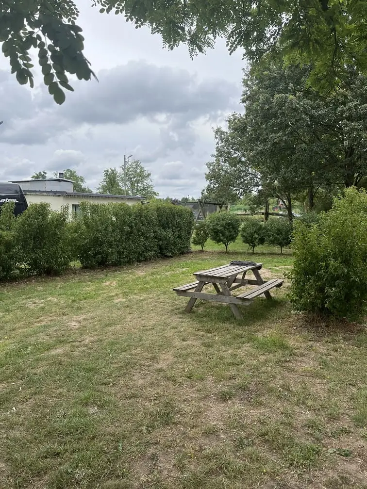 Parcela z drewnianą ławka piknikową otoczona krzewami i drzewami