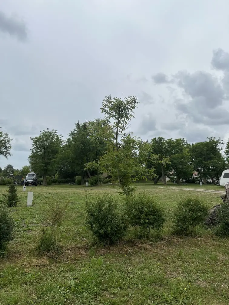 Widok na zieloną przestrzeń kempingu Gadabout Camp, idealną do wypoczynku.