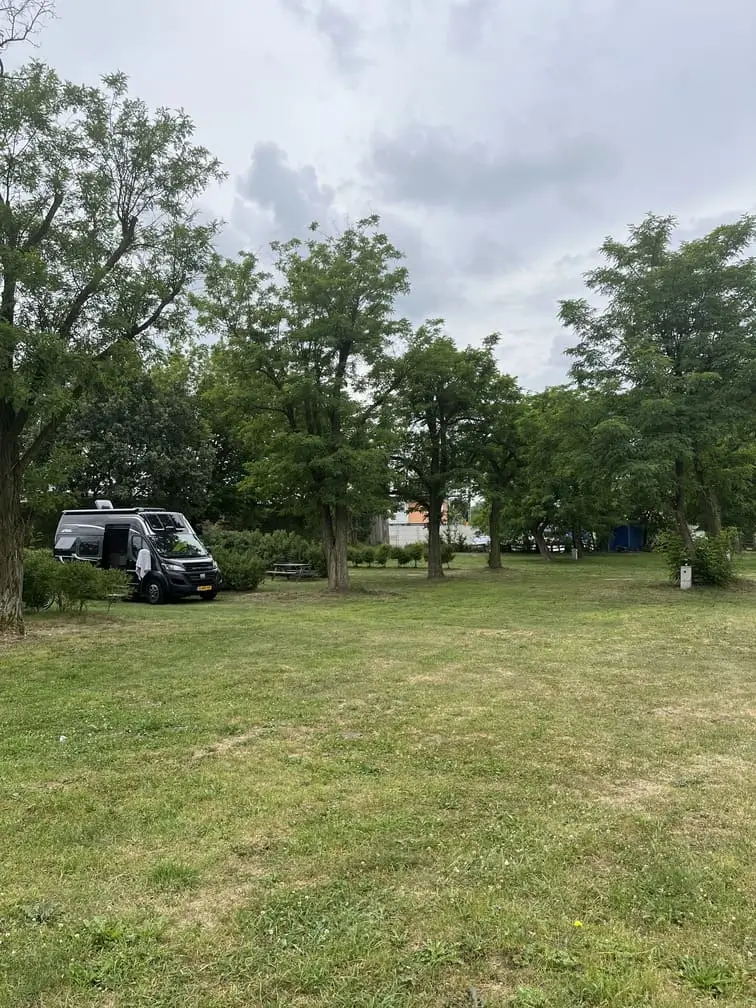 Teren zielony z drzewami i krzewami na kempingu